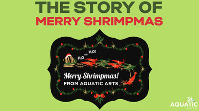 The Story of Merry Shrimpmas