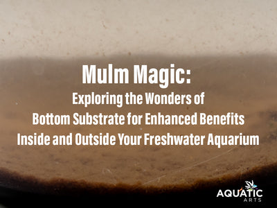 Mulm Magic: Exploring the Wonders of Bottom Substrate for Enhanced Benefits Inside and Outside Your Freshwater Aquarium