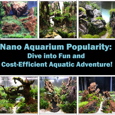 Nano Aquarium Popularity: Dive into Fun and Cost-Efficient Aquatic Adventure!