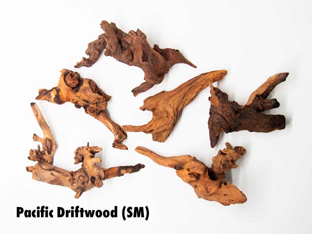 250+ Driftwood Pieces, online 1