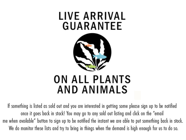Aquatic Arts live arrival