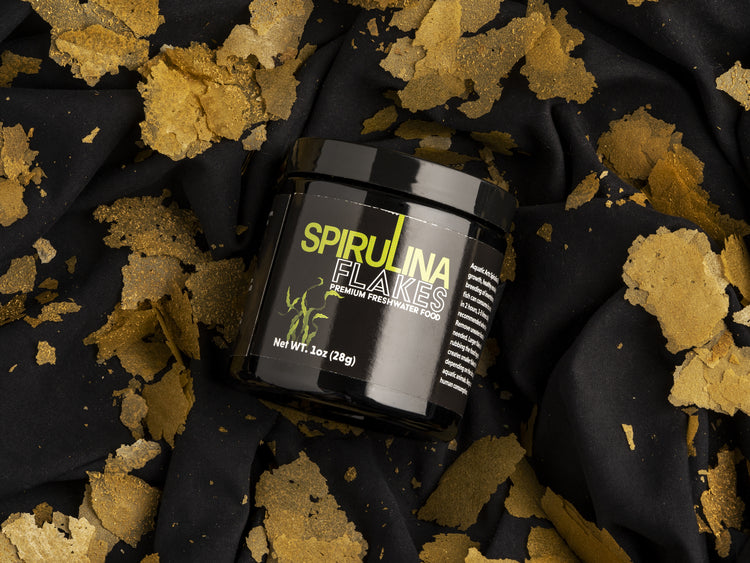 spirulina flakes for cichlids