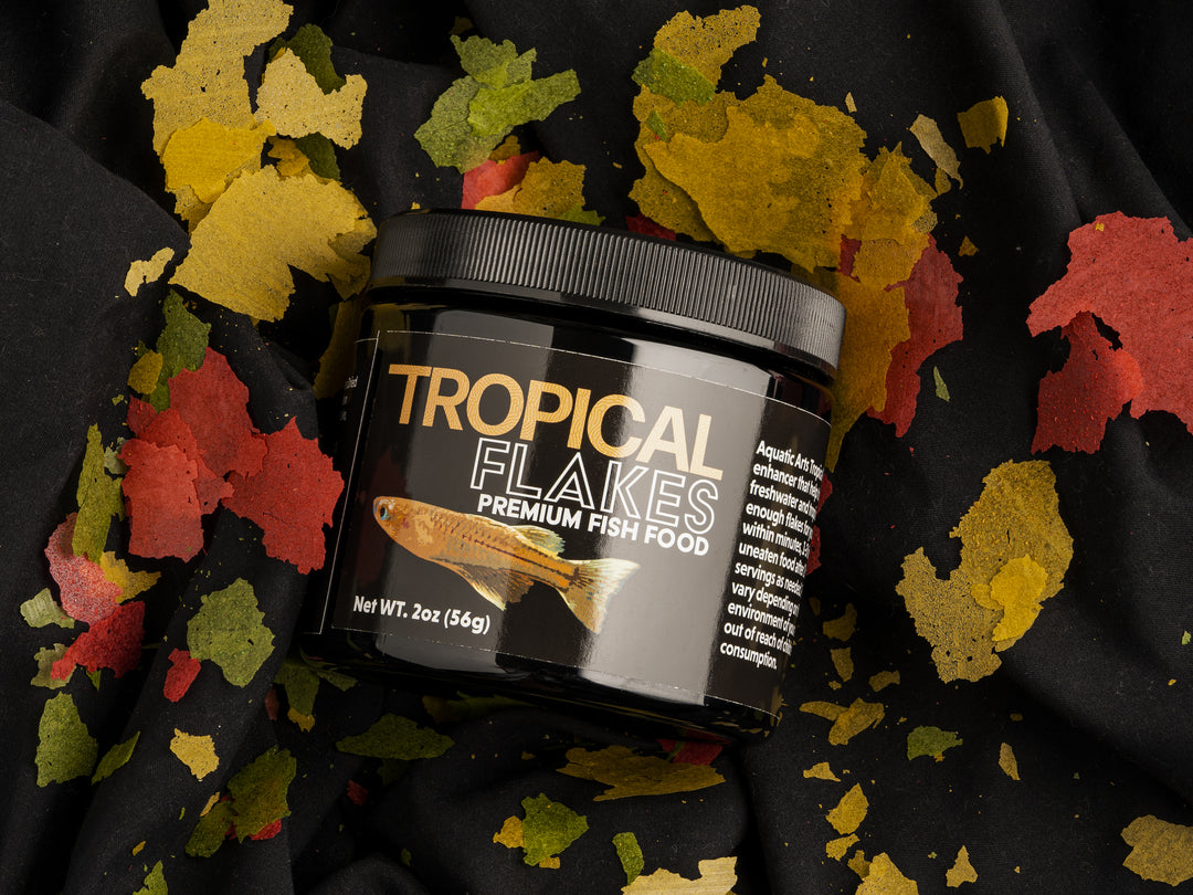 tropical fish food flakes