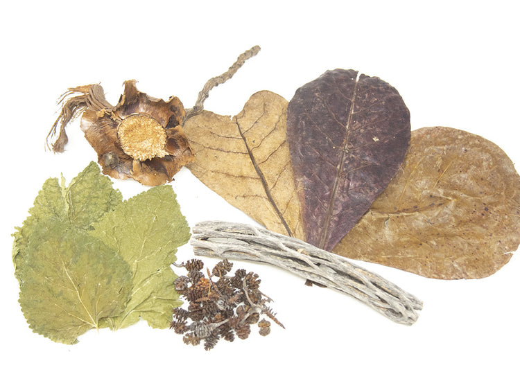 aquatic botanical combo pack for sale