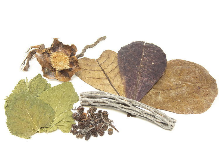 natural leaf litter & botanicals