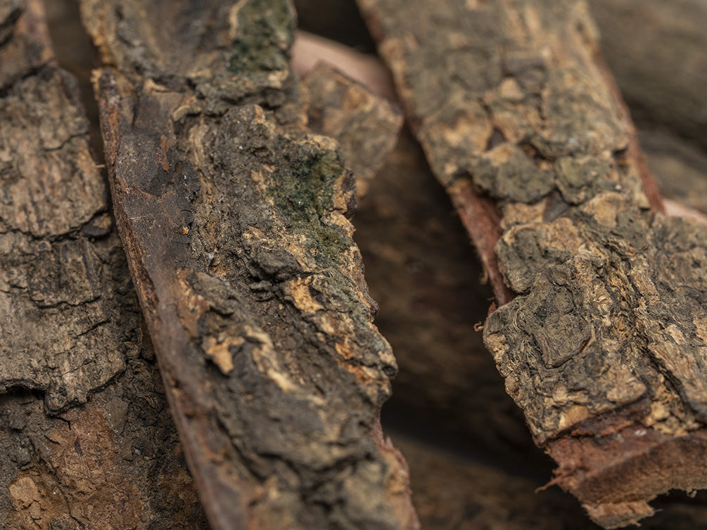 catappa bark for shrimp