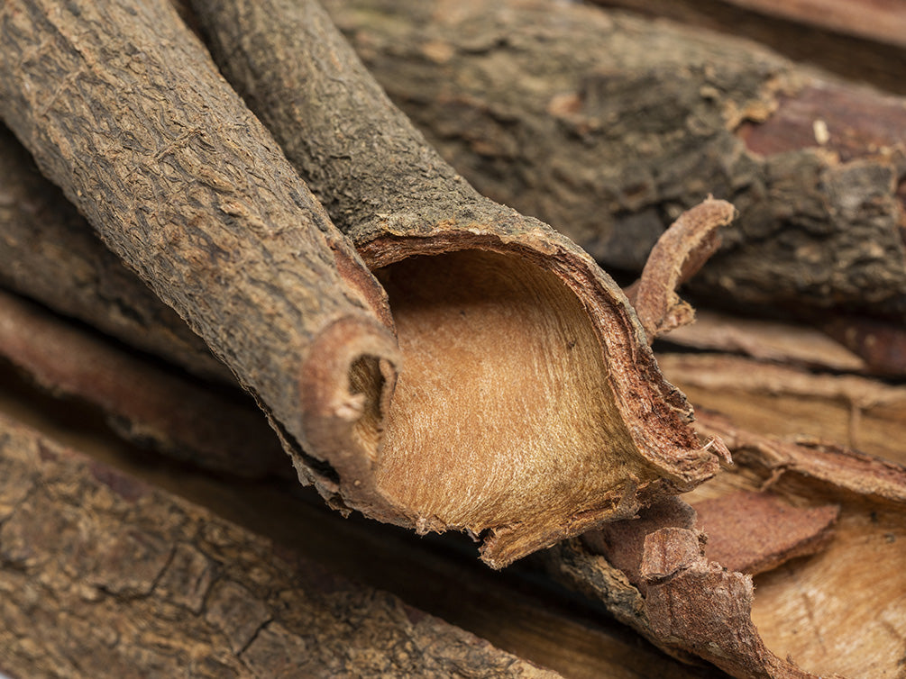 terminalia catappa bark