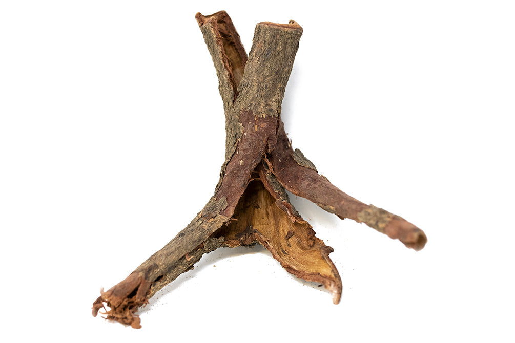 catappa bark benefits