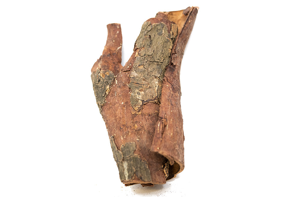 catappa tree benefits