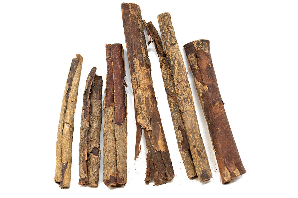 catappa tree bark