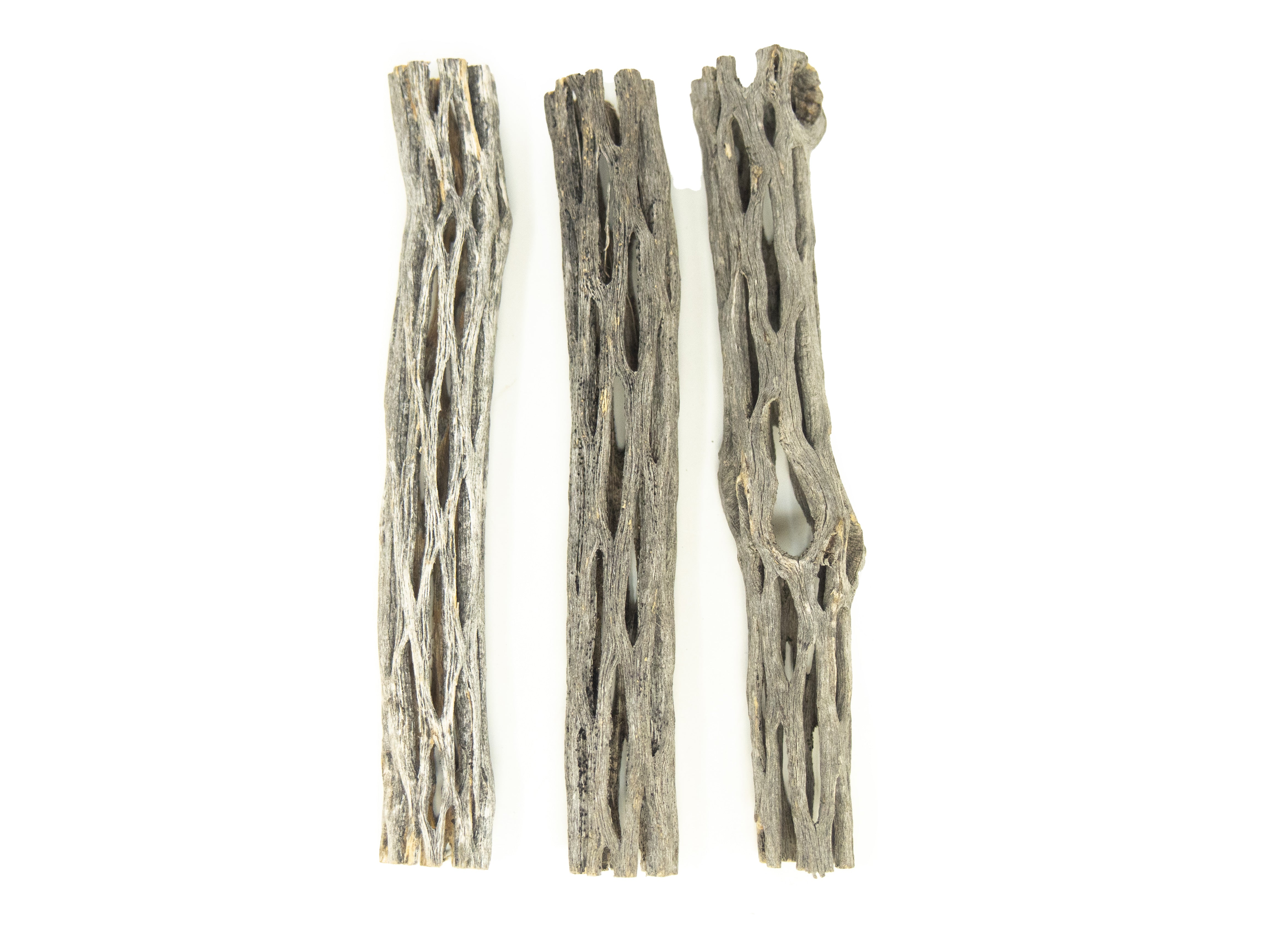 cholla wood for shrimp