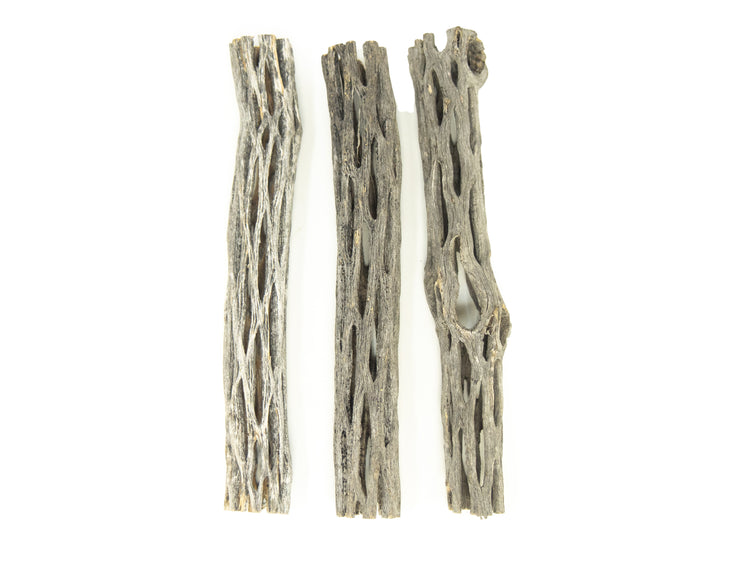 cholla wood for shrimp