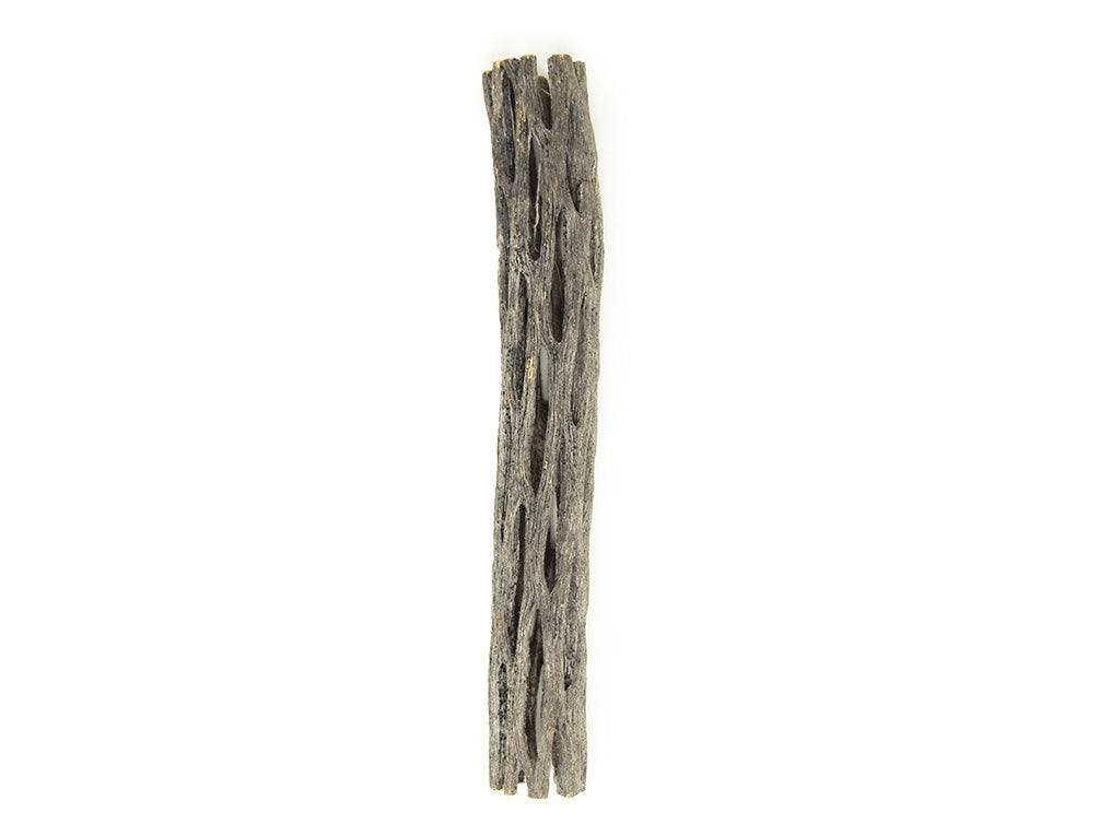 cholla wood for shrimp