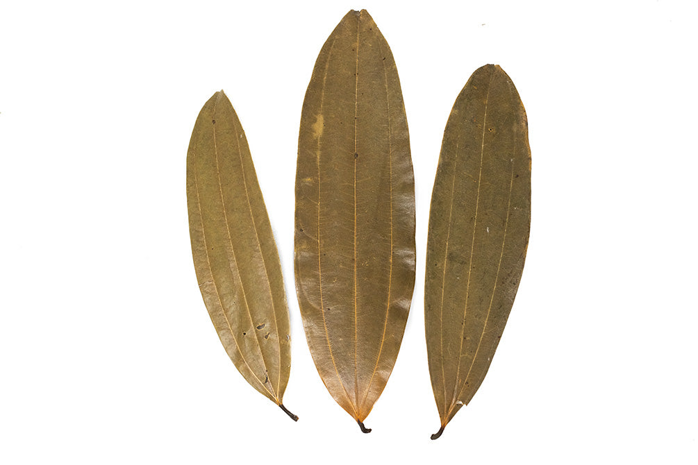 cinnamon leaves for aquatic animals
