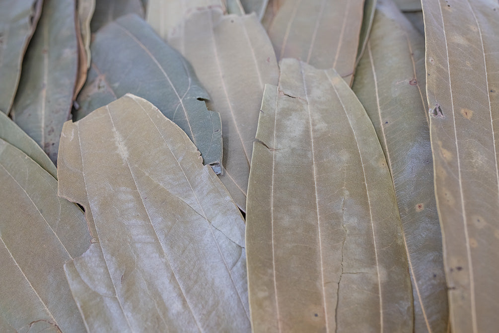 where to buy cinnamon leaves