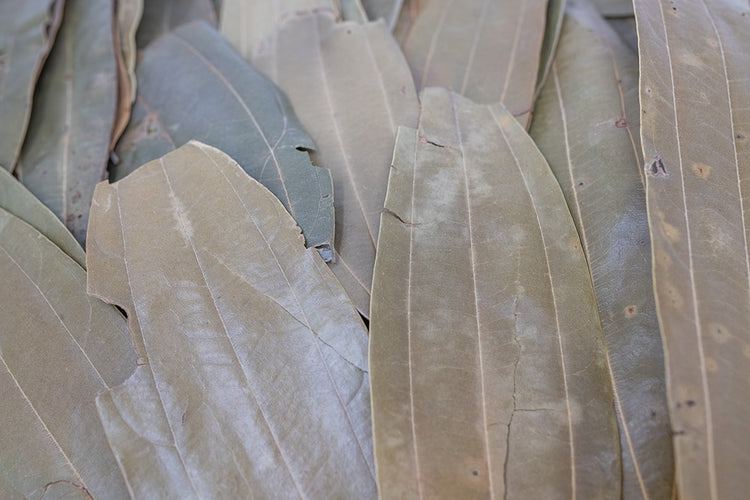 where to buy cinnamon leaves
