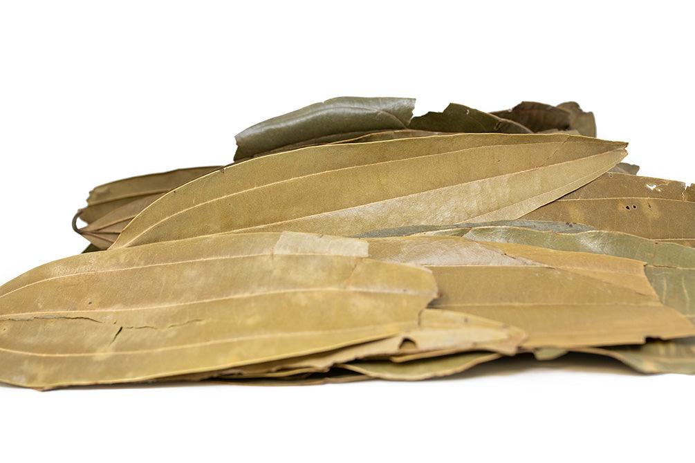 cinnamon leaves for aquarium