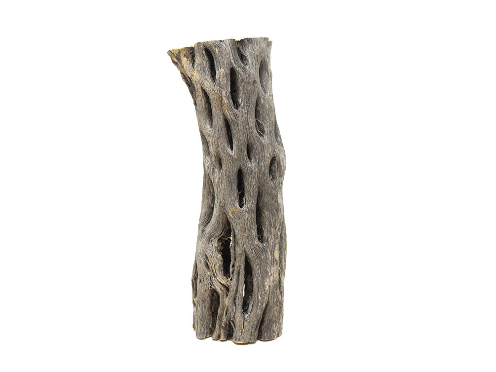 cholla wood for shrimp
