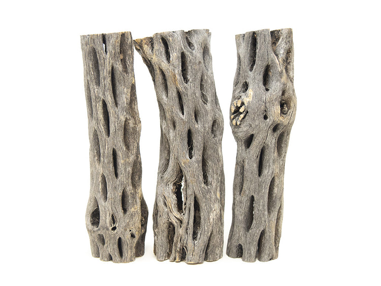 cholla wood aquairum for fish tank