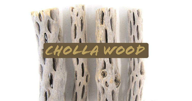 cholla wood aquarium