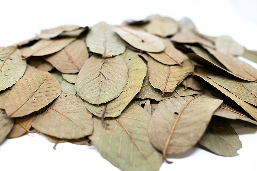 dried guava leaves