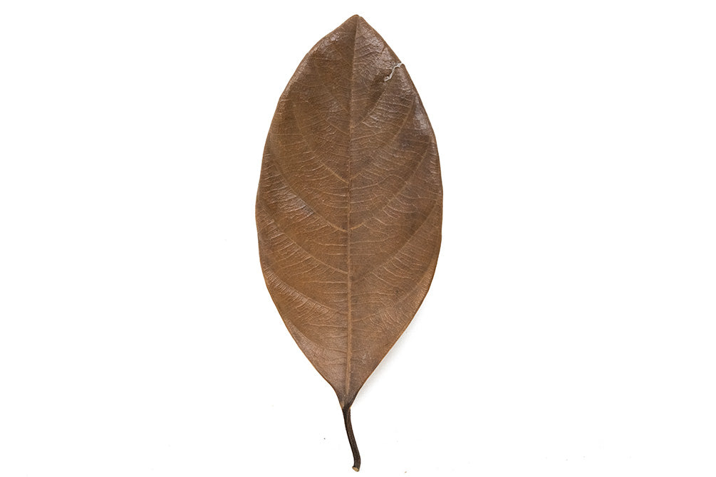 dried jackfruit leaves for sale