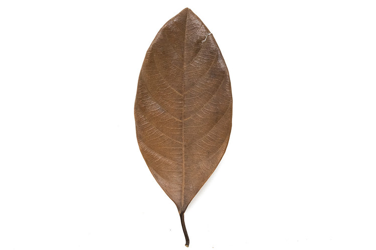 dried jackfruit leaves for sale