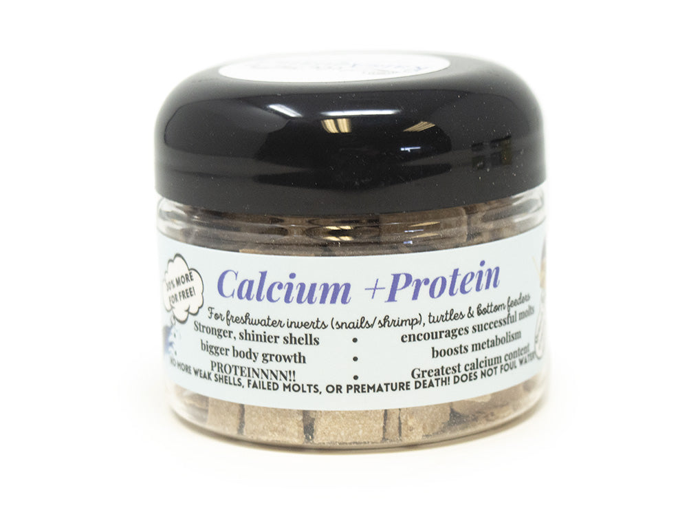 aquarium shrimp food