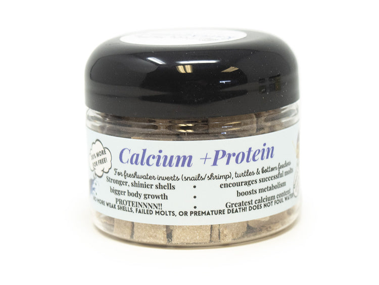 aquarium shrimp food