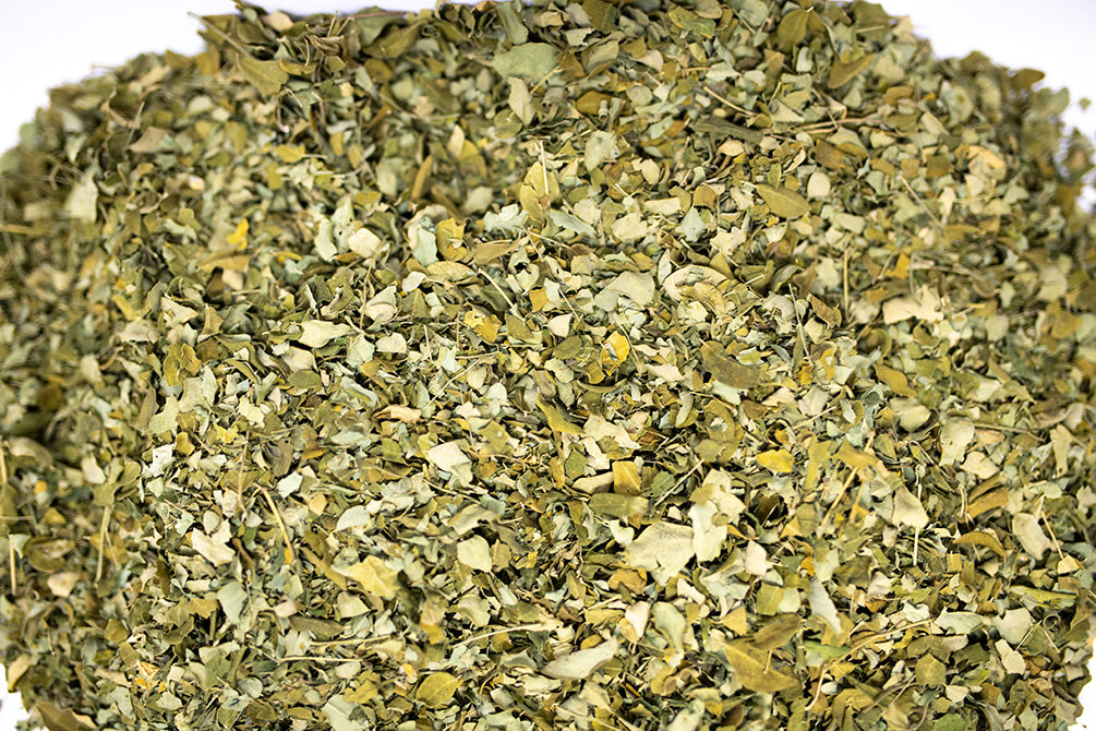 moringa dry leaves
