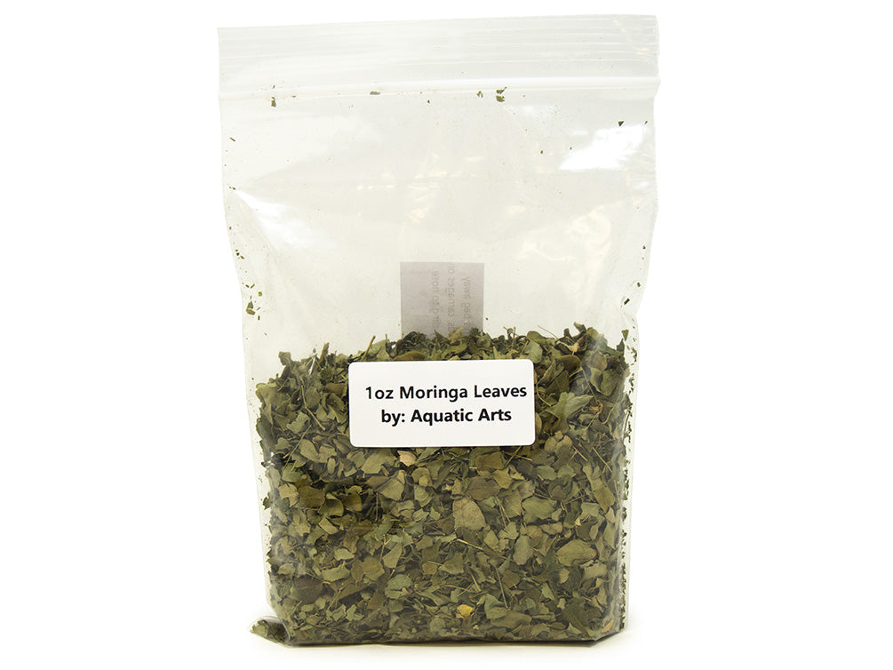 aquatic arts moringa leaves
