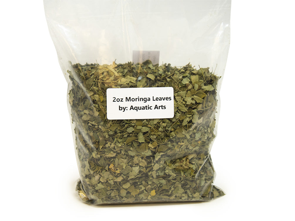 moringa leaves by aquatic arts