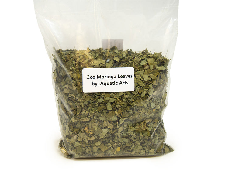 moringa leaves by aquatic arts