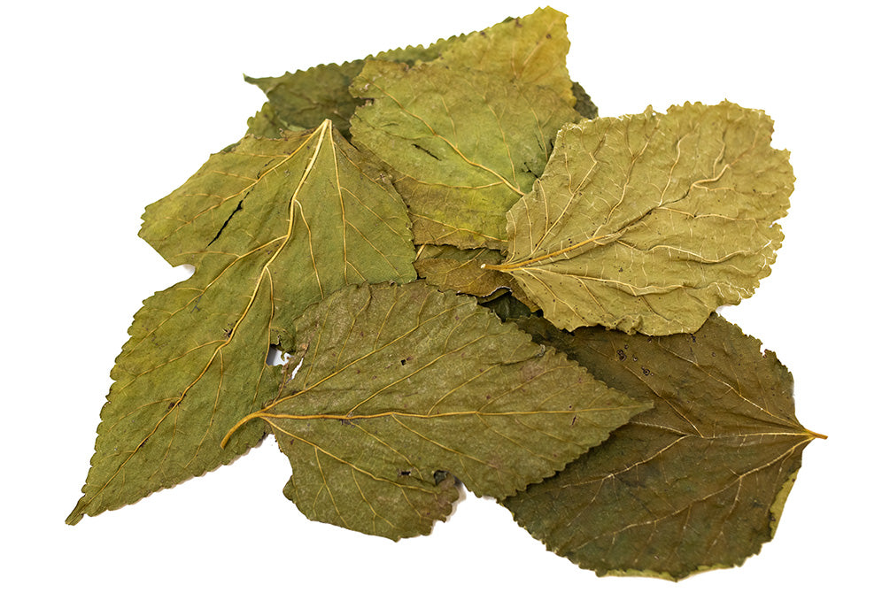 mulberry leaves for sale