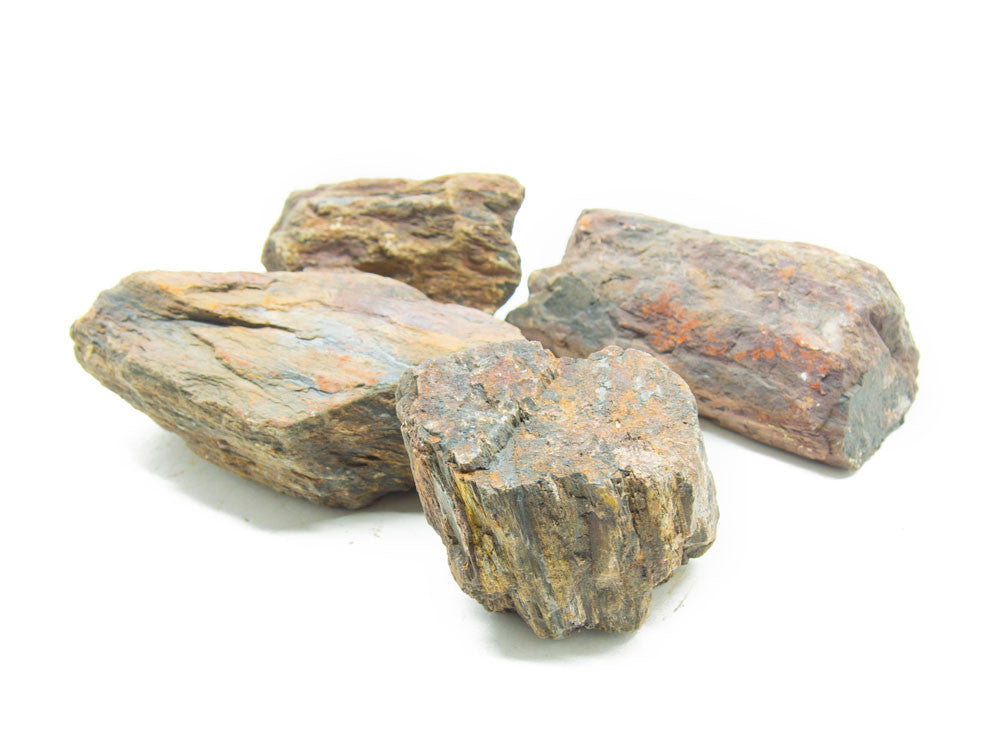 NATURAL Polished Petrified Wood - Aquarium / Terrarium / Bonsai Stone