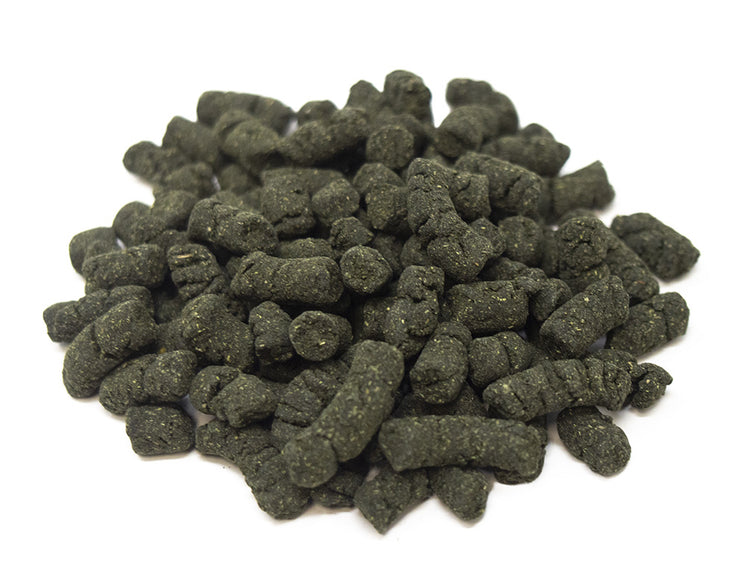 premium shrimp food for tanks
