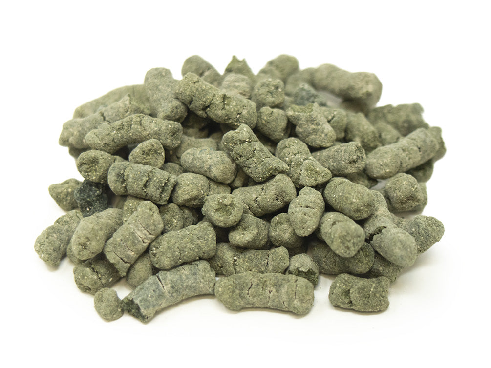 freshwater aquarium shrimp food