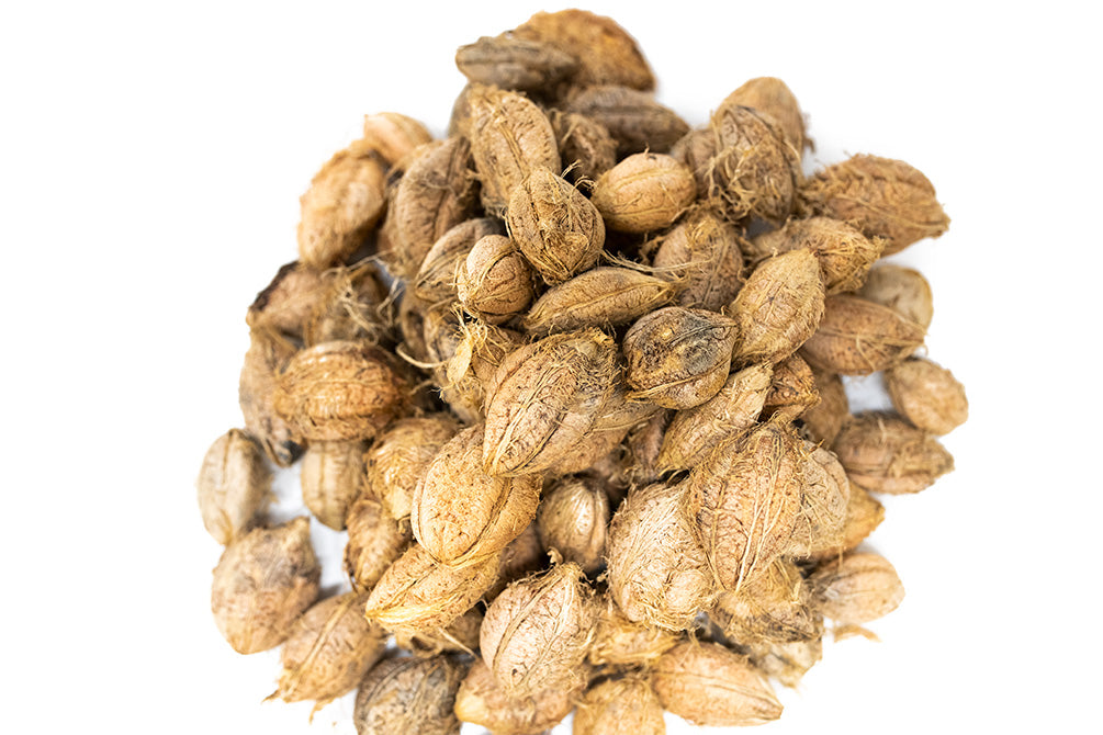 dried tropical almond fruit