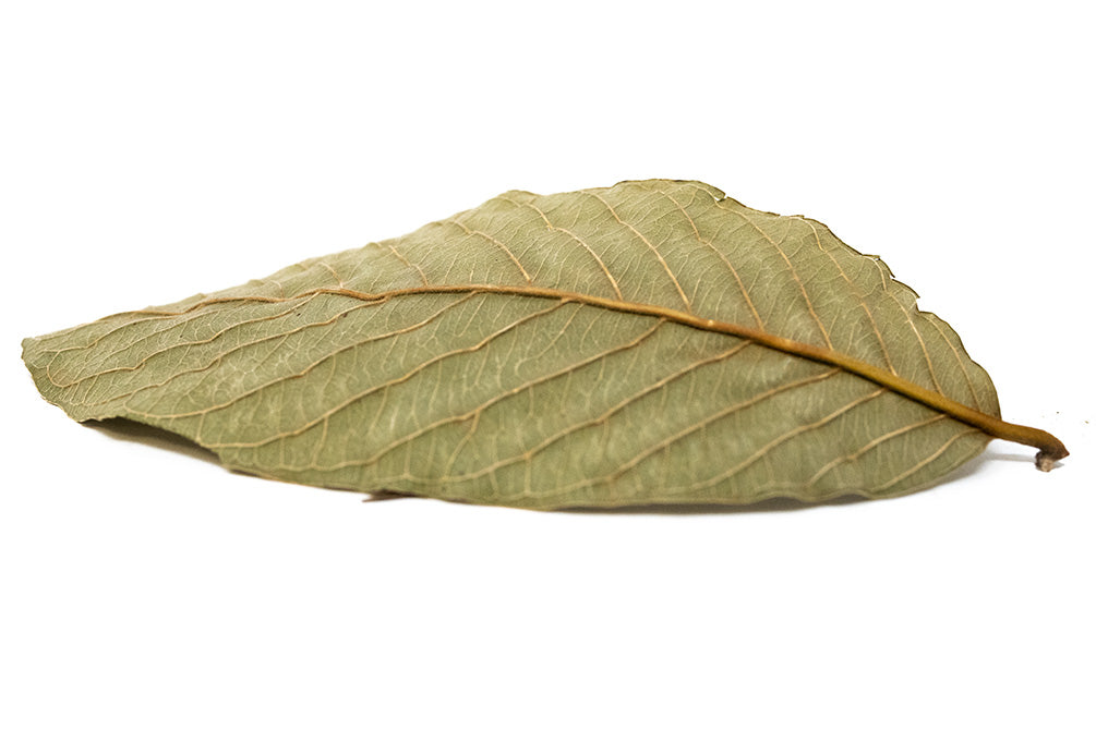 dried guava leaves uses