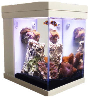 JBJ Aquarium - 3 Gallon Cubey Desktop Aquarium - White