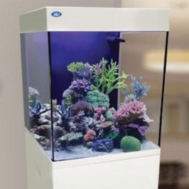 JBJ Aquarium - 20 Gallon White Cubey Midsize All In One Tank
