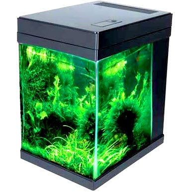 JBJ Aquarium - 3 Gallon Cubey Desktop Aquarium - Black