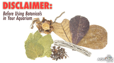 Disclaimer: Before Using Botanicals in Your Aquarium
