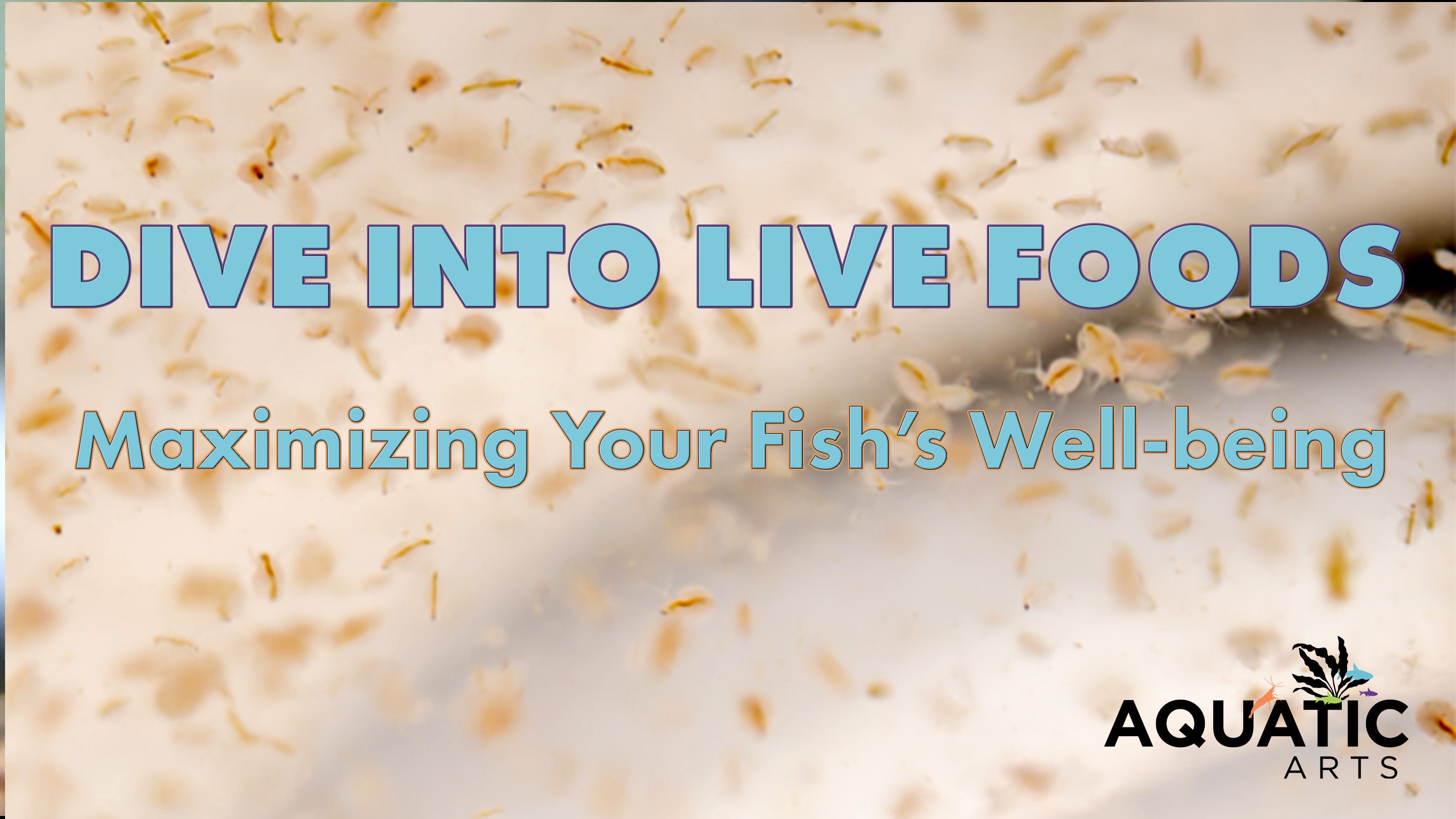 Dive into Live Foods: Maximizing Your Fish's Nutrition and Well-being