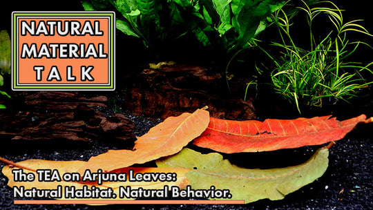Natural Material Talk: Ajuna Leaves