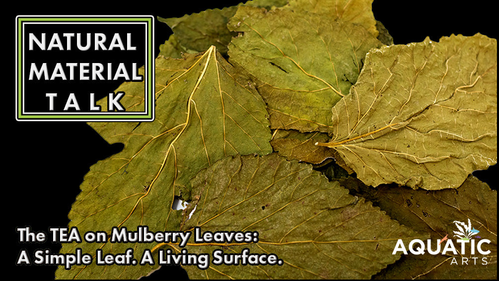 Natural Materials Talk: Mulberry Leaves
