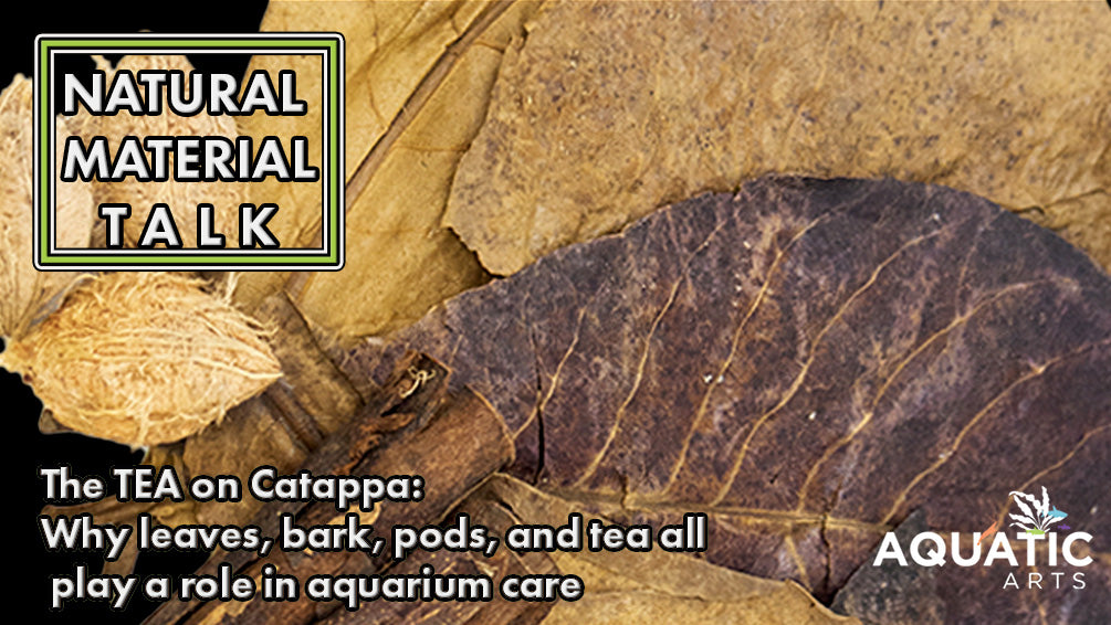 Natural Materials Talk: The Tea on Catappa