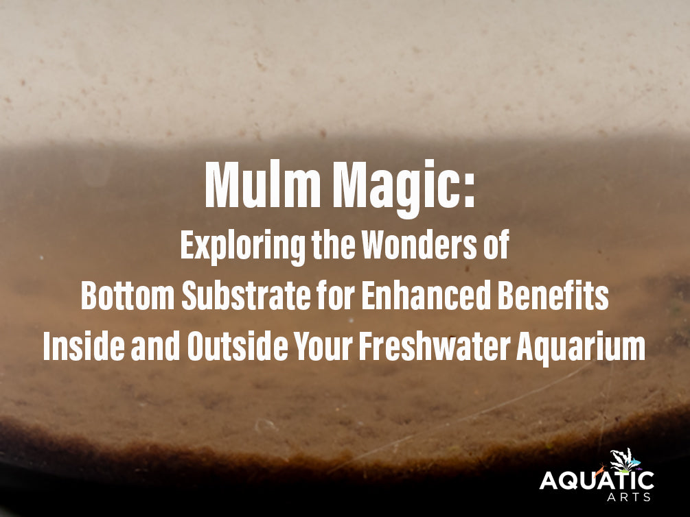 Mulm Magic: Exploring the Wonders of Bottom Substrate for Enhanced Ben ...