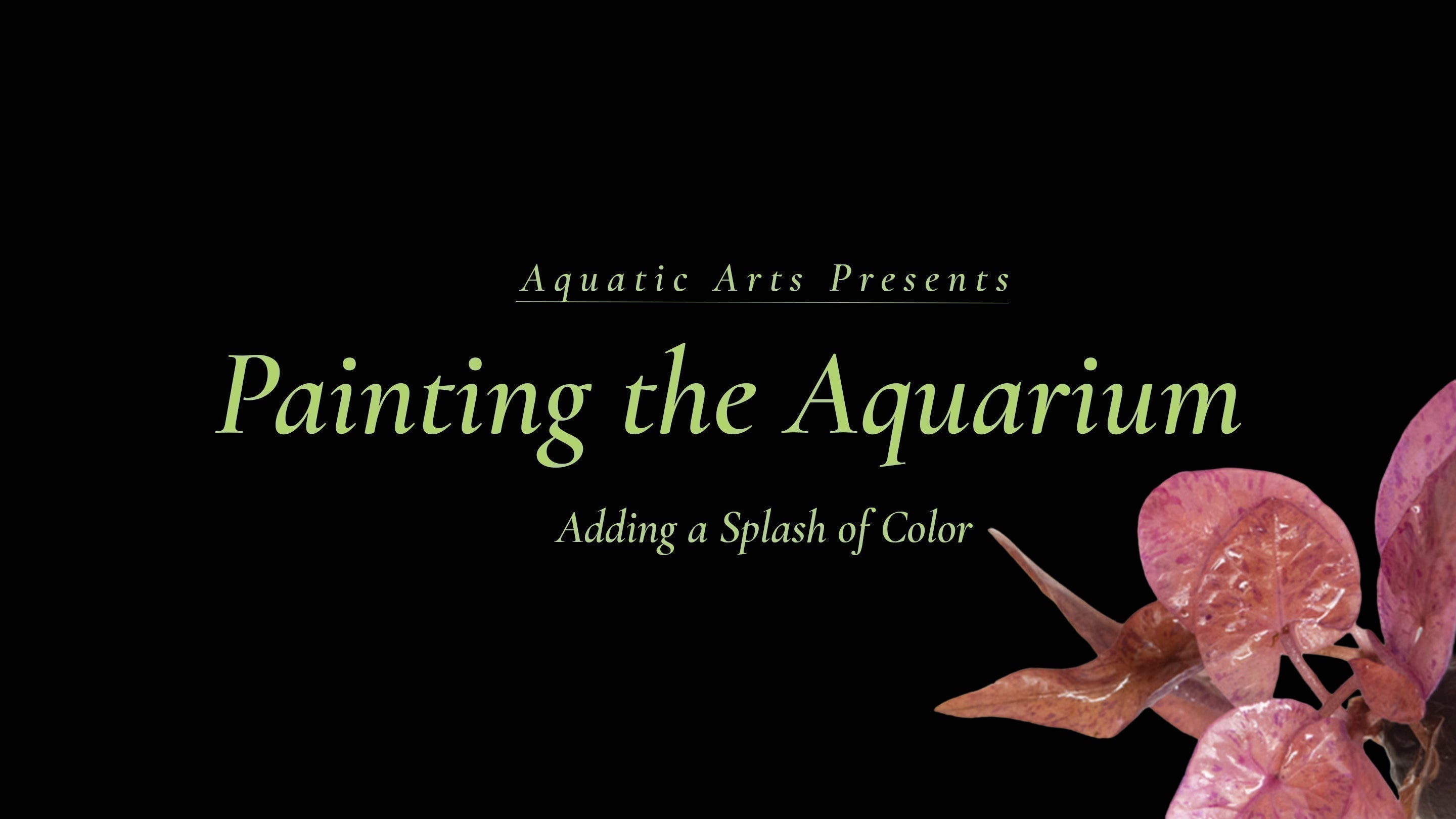 Paint the Aquarium: Adding a Splash of Color