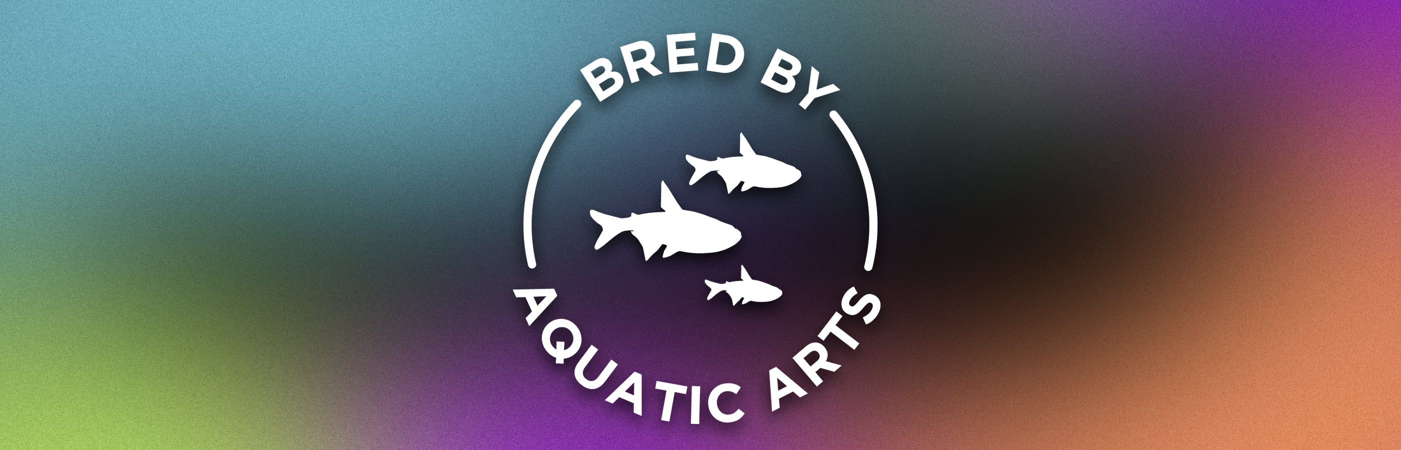 Bredby: Aquatic Arts